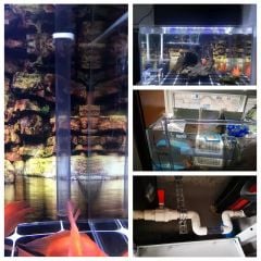 Şeffaf Yuvarlak Pleksi Boru (Boy: 1 m)